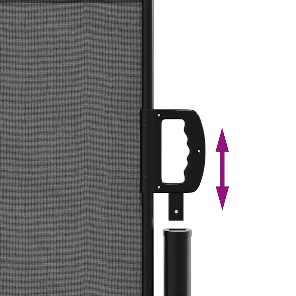 Tenda da Sole Laterale Retrattile Antracite 140x500 cm