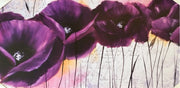 Quadro da Parete Dipinto Medio Papaveri Viola 60 x 120 cm