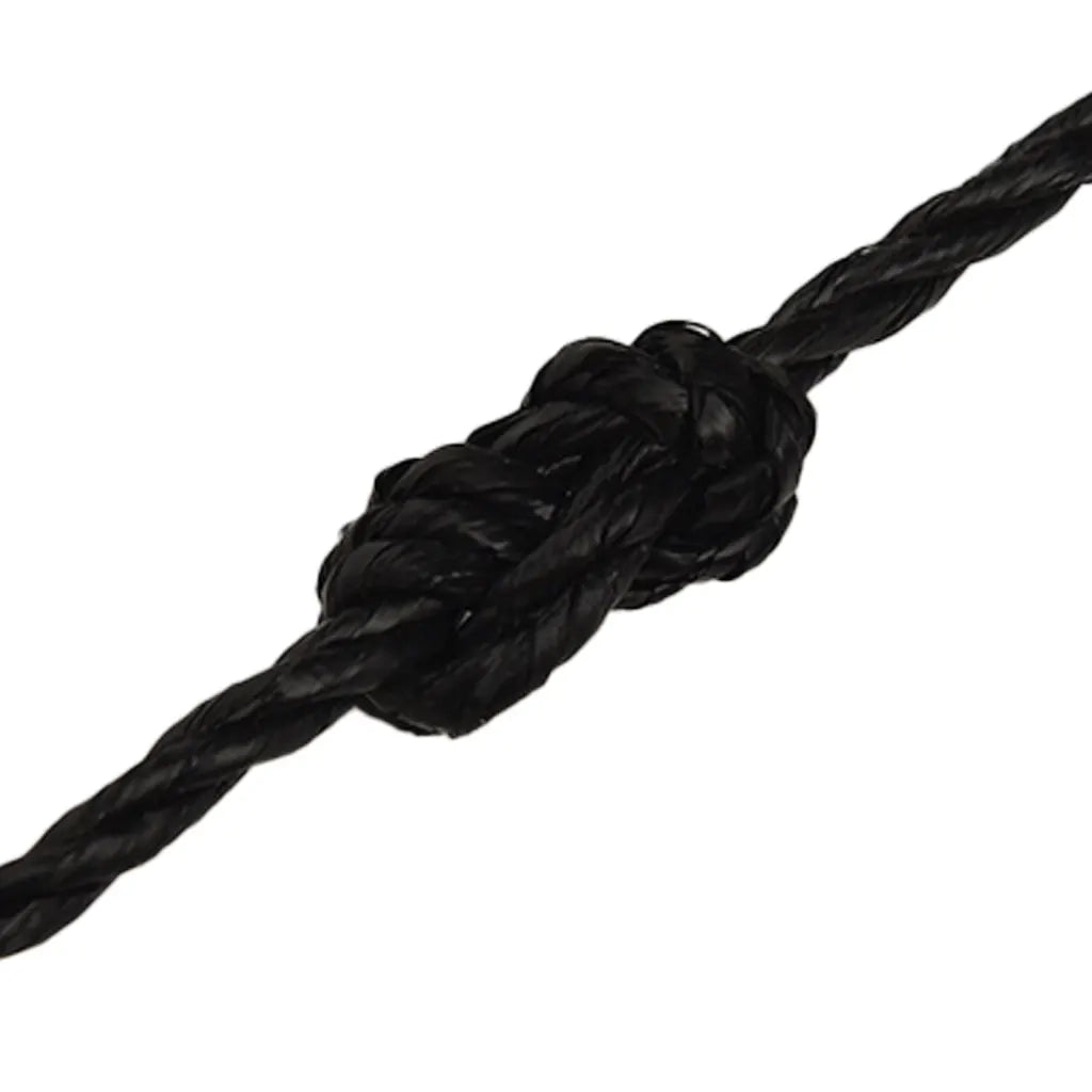 Corda da Lavoro Nera 3 mm 250 m in Polipropilene cod mxl 38271
