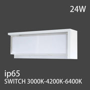 Plafoniera Applique da Parete LED 24W Esterna  IP65 220V 3000K-4200K-6500K