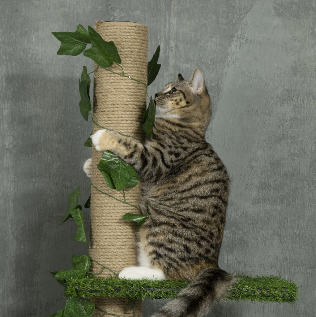 Tiragraffi regolabile da pavimento a soffitto verde, 202-242 cm