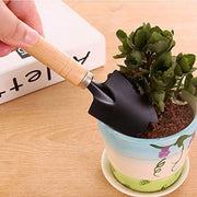 Set di attrezzi per giardinaggio mini, attrezzo per giardinaggio, piante da giardino, attrezzo