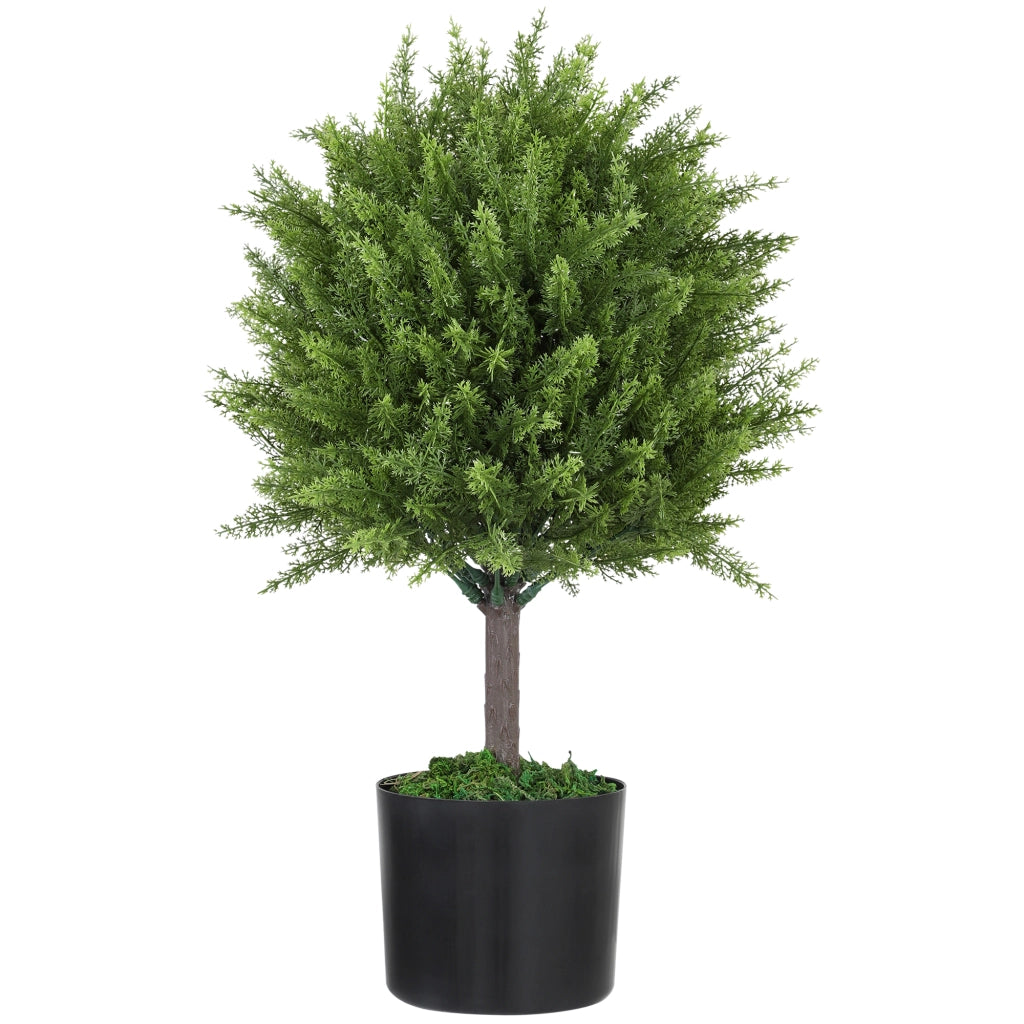 Albero di Cedro Finto ¨C Xylo ¨C 55 cm, Verde, con Vaso