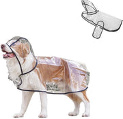 Impermeabile per Cani Transparente - Adatto per Cani di Grande e Media Taglia