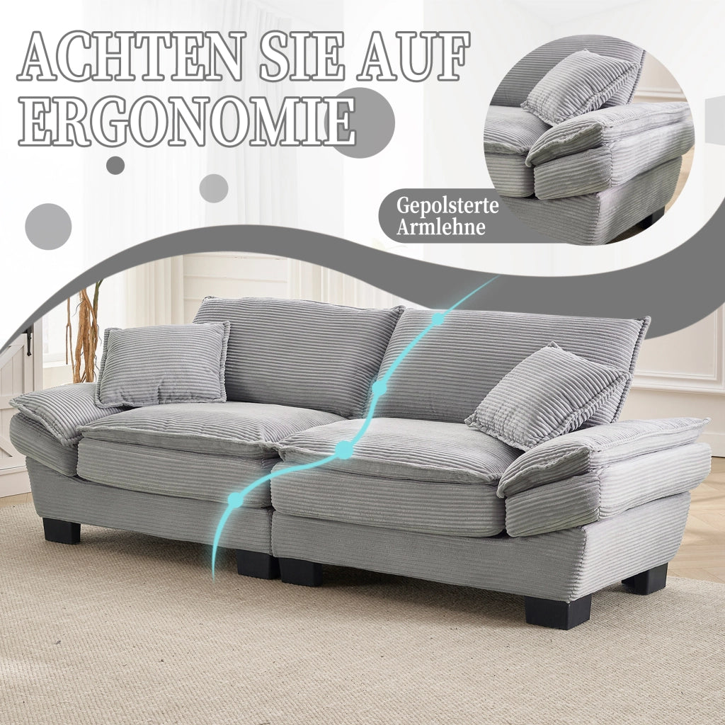 Divano 2 Posti con Seduta Extra Profonda, Braccioli Imbottiti e 2 Cuscini, in Velluto Grigio Chiaro 224 × 81 × 81 cm