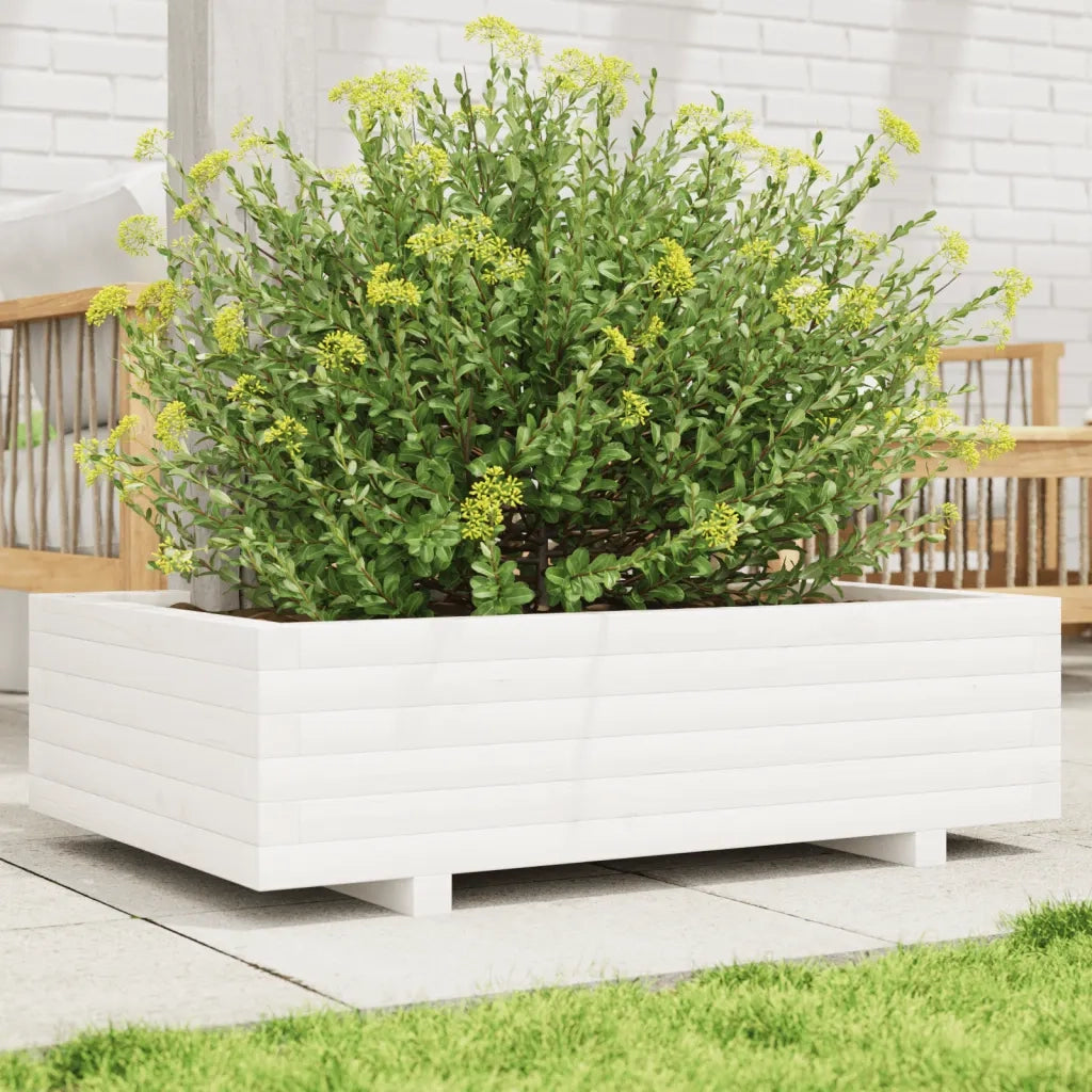 Fioriera | Cassetta per fiori | Vaso da Giardino Bianca 90x60x26,5cm Legno Massello di Pino