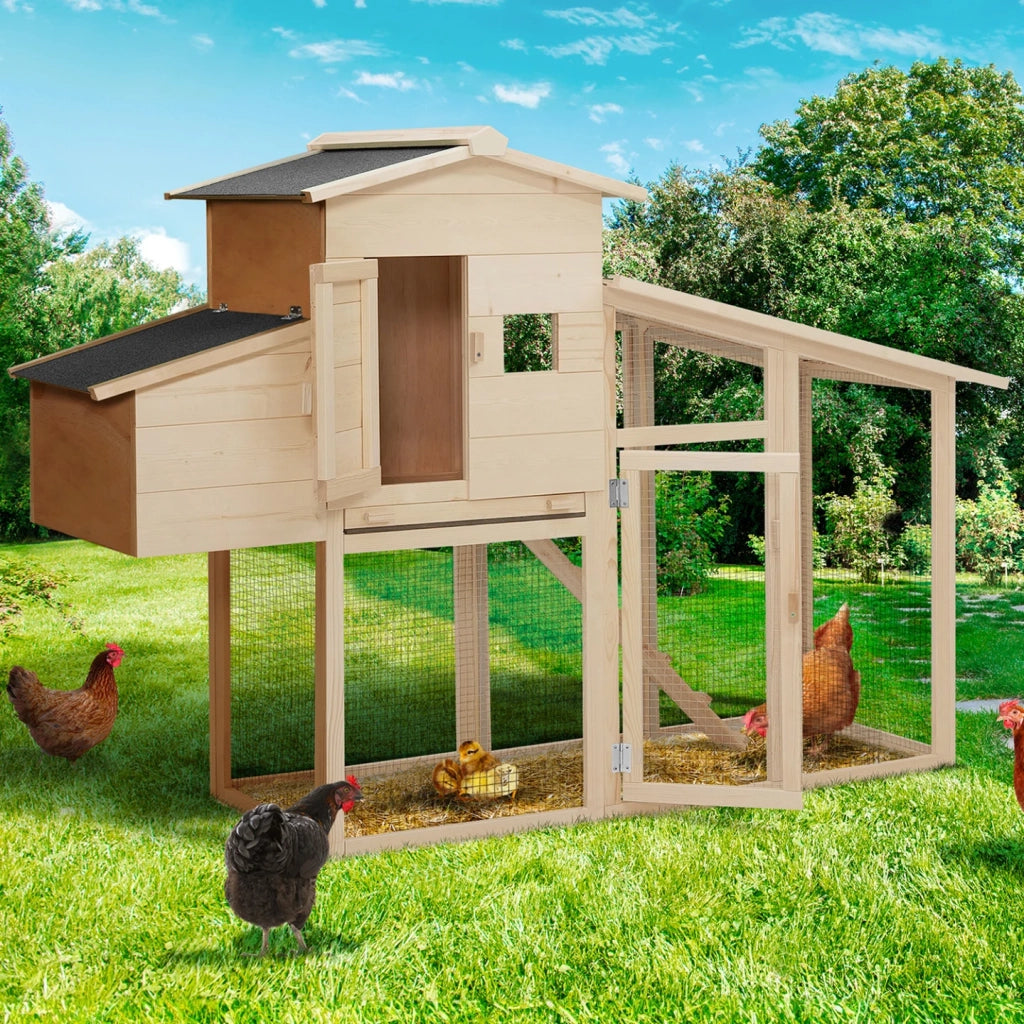 IDMarket - Pollaio con cassetta nido in legno per 2-3 polli COMFORT