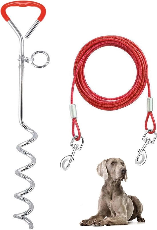 Cinturone per Cani con Anello di Base - 3m/5m/10m per Cani Piccoli e Medi - Sicuro e Duraturo per Esterno