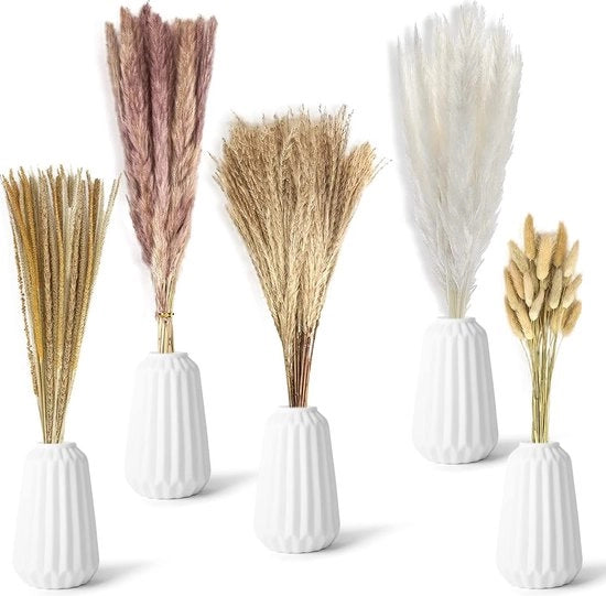 75 pezzi di pampas secco, pampas secco, fiori naturali secchi per vasi, pampas secco piccolo, fiori naturali secchi, pampas, pampas naturale