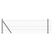 Recinzione da Giardino | Recinzione con Posto Grigio 0,4 x 25 m Acciaio e PVC
