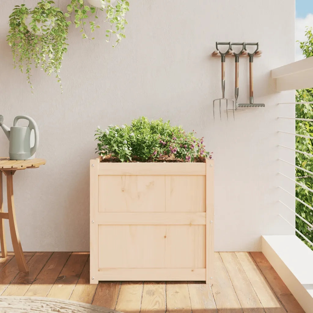 Fioriera da Giardino-Vaso da Esterno 60x60x60 cm in Legno Massello Di Pino