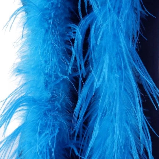 Struisvogelveer per feste a tema 2 m - Accessori di abbigliamento - Festa di Halloween/Carnaval - Costume di cosplay - Veersjaal