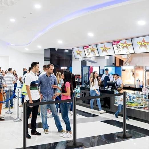 4 Paletti di Delimitazione, Barriera in Acciaio Inox per Code, Colonnine Segnapercorso Transenna Eliminacode Separacode, Ideale per Hotel Ristorante Cinema (Nero)