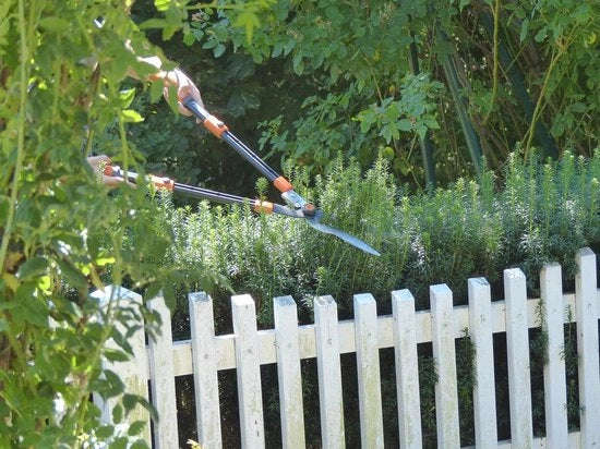 Heggenschaar multifunzione 3 in 1 - Lama telescopica e regolabile per attività di giardinaggio rilassanti