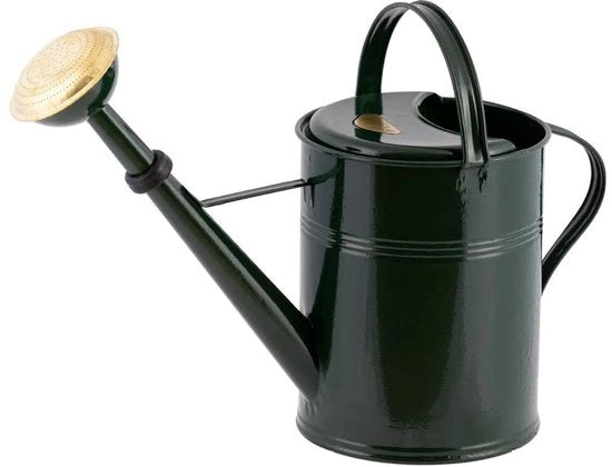 Tinoio 5 litri - ideale per interni ed esterni - verde - acciaio
