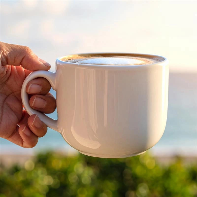 SET 6 TAZZE BIANCHE IN CERAMICA 450 ML PER COLAZIONE CON MANICO PER CASA E HOTEL PER CAPPUCCINO, CAFFE', GELATO E FRUTTA