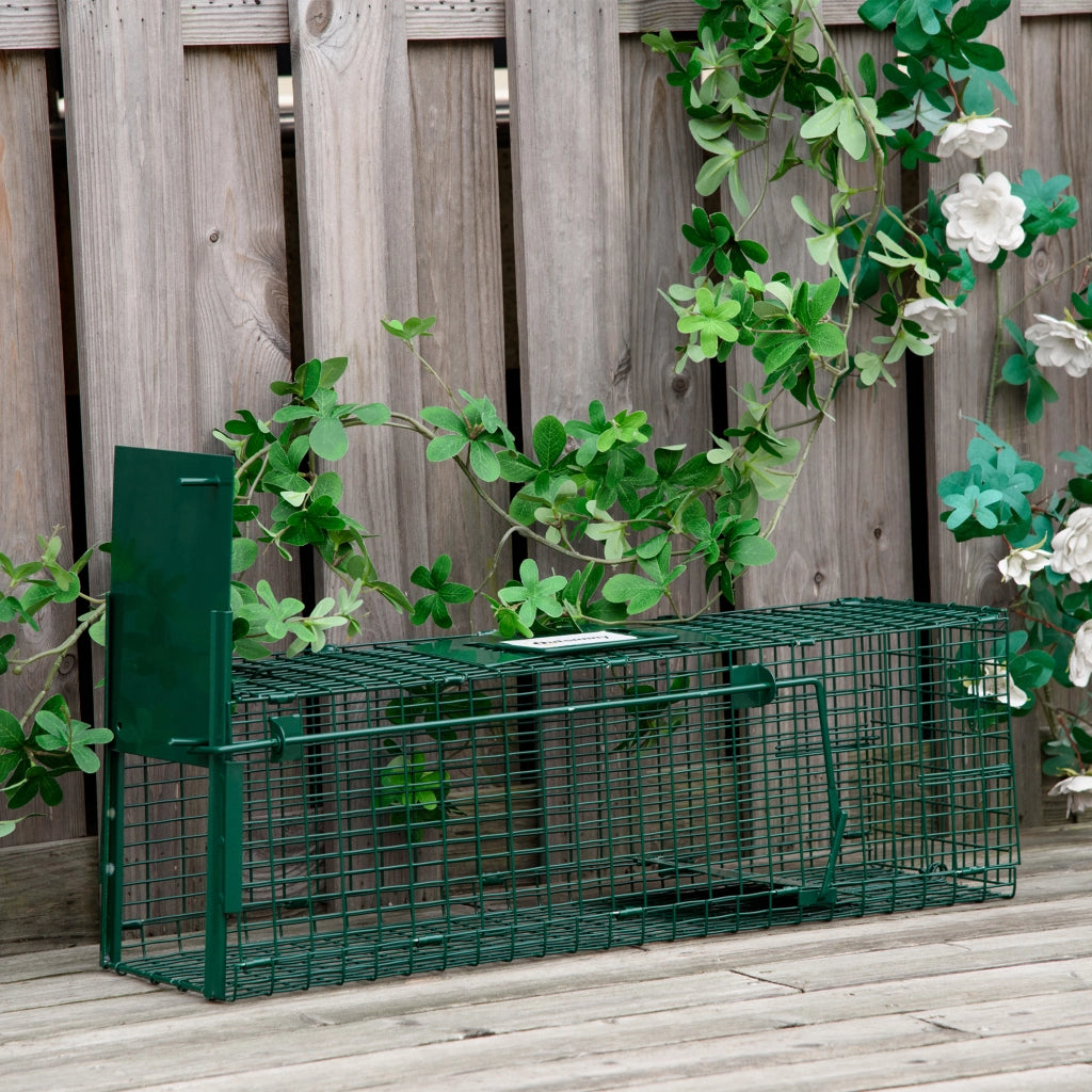 Gabbia Trappola per Ratti, Topi e Nutrie con Porta Singola, 60x18x20cm, Verde