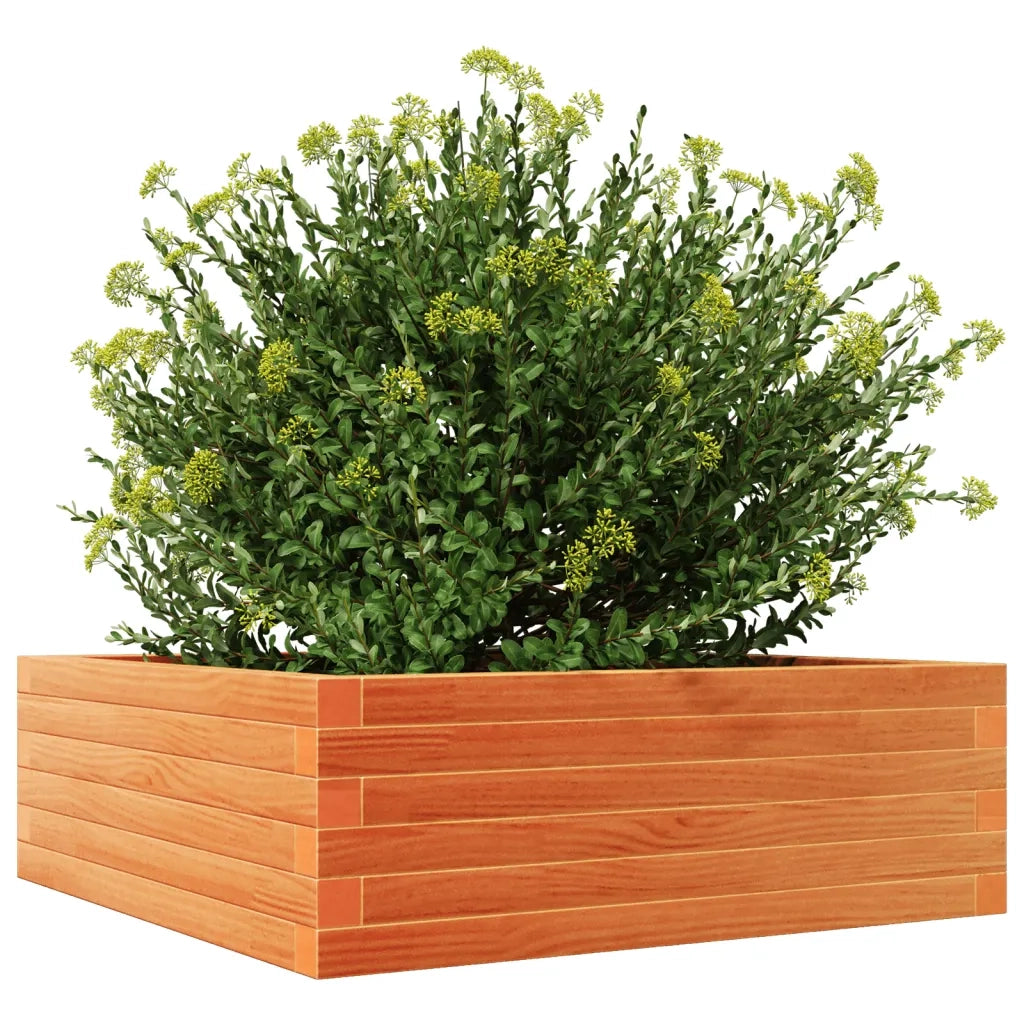 Fioriera Giardino Marrone Cera 70x70x23 cm Legno Massello Pino 847195