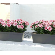 BALCONETTA COLORADO 50 SOTTOV.+KIT GRIPPO Smoke