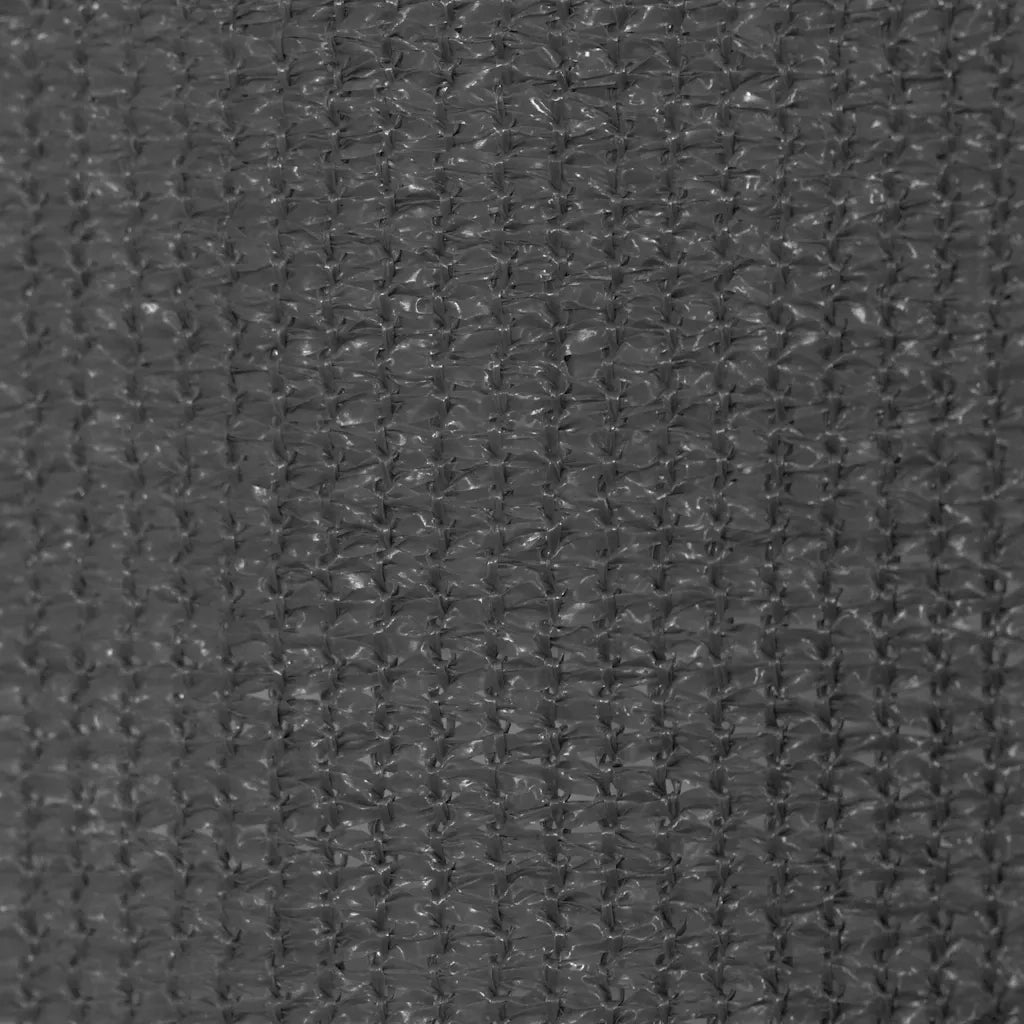 Tenda a Rullo per Esterni 225(L)x140(A) cm Antracite 43488