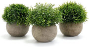 Pianta di plastica miniatura 3 pezzi con vaso grigio, 9,5 x 13 cm, per interni e esterni, decorativa, ideale per soggiorno, balcone, camera da letto, ufficio, regalo di nozze, nuovo appartamento.