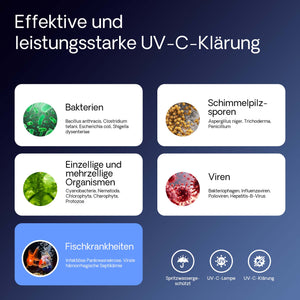 CUV-236 Chiarificatore UVC per laghetto 6000 l/h, Sterilizzatore con lampada 36W