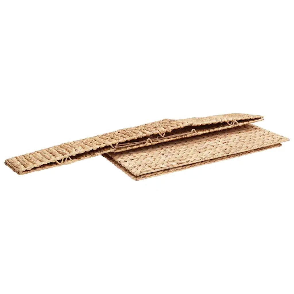 Scatola di Stoccaggio Naturale 60 x 38 x 20 cm Giacinto d'acqua 42020145