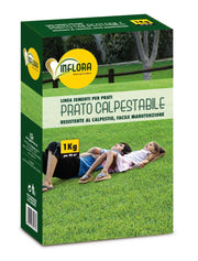 INFLORA SEMENTI PER PRATO CALPESTABILE 1KG