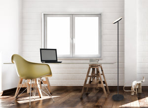 Piantana da Interno a LED in Metallo Nero Opaco