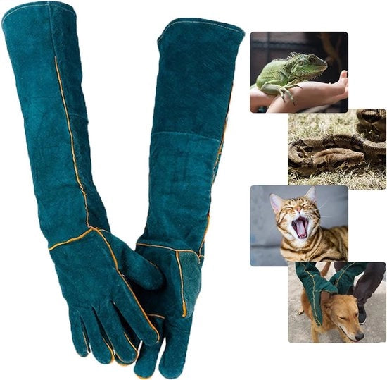 Manica di Protezione per Animali - 1 coppia - Antinfreddamento - Cotone | Pelle Artificiale - Manica di Protezione - Protezione per Animali - Adatto per Cani, Gatti e Serpenti - Verde Scuro - 60cm