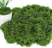 Decorazione con Mosso di Nylon - 100 g - Microlandschaft Decorativo - Decorazione per Knutselen - Mosso Ilandese - Decorazione con Microlandschaft - Materiale Decorativo