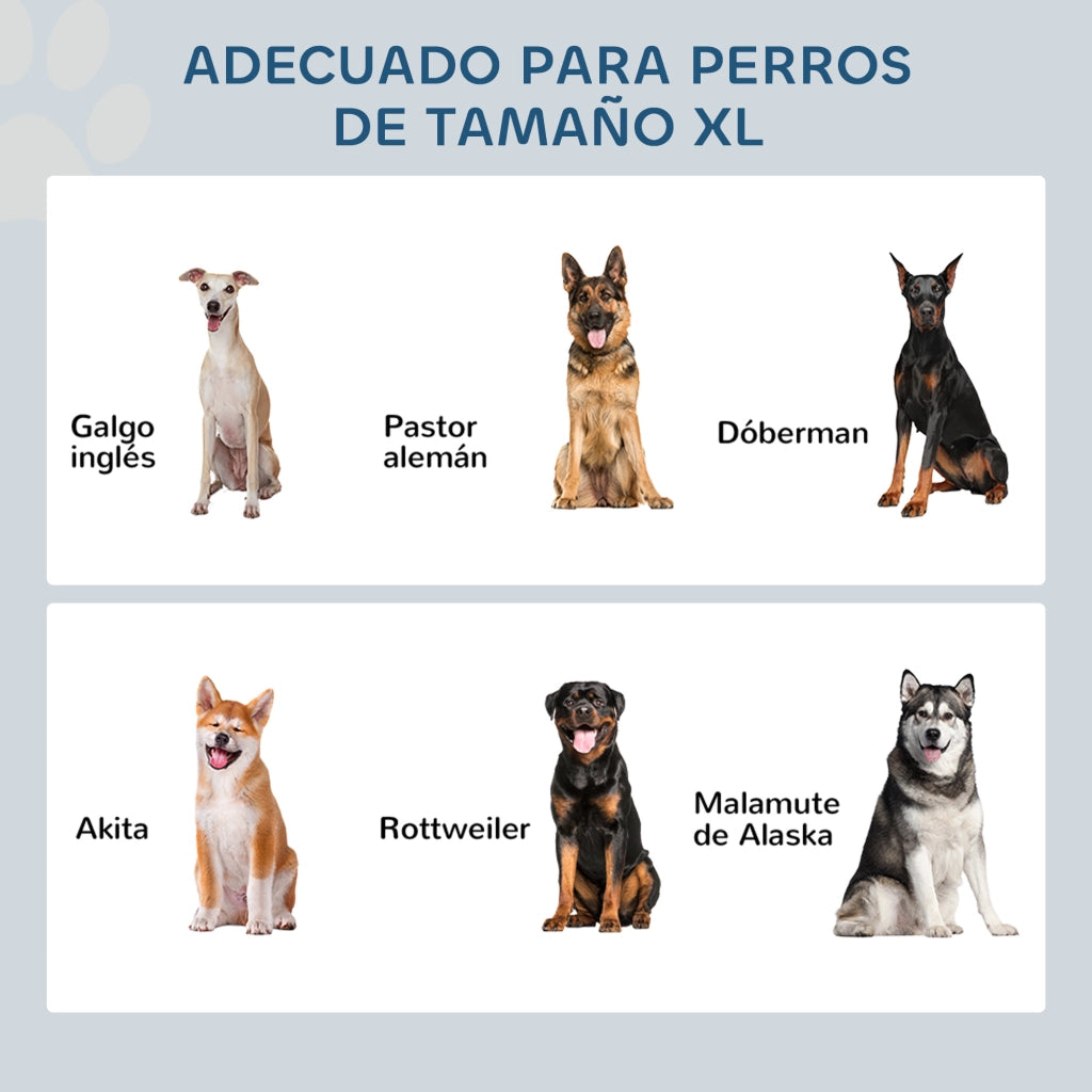 Mangiatoia per Cani con 2 Ciotole e Contenitore ¨C Zephmum ¨C 60x30x41 cm Grigio