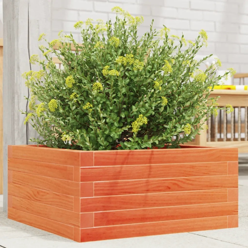 Fioriera | Cassetta per fiori | Vaso Giardino Marrone Cera 50x50x23 cm Legno Massello Pino