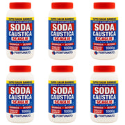 Sgrassatore disincrostante disgorgante soda caustica 1 kg pezzi 6