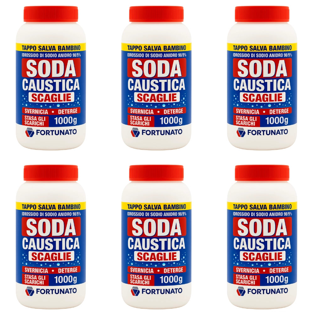 Sgrassatore disincrostante disgorgante soda caustica 1 kg pezzi 6