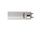 TUBO T8 LED PER PLAFONIERA ECOLED G13- - 24w - 4000  °K naturale - 2500 lm - 25x1500h - 5 pezzi BEGHELLI