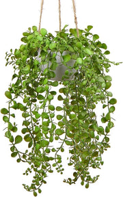 Pianta finta appesa - decorazione - 1 pezzo - verde - plastica - 35 cm