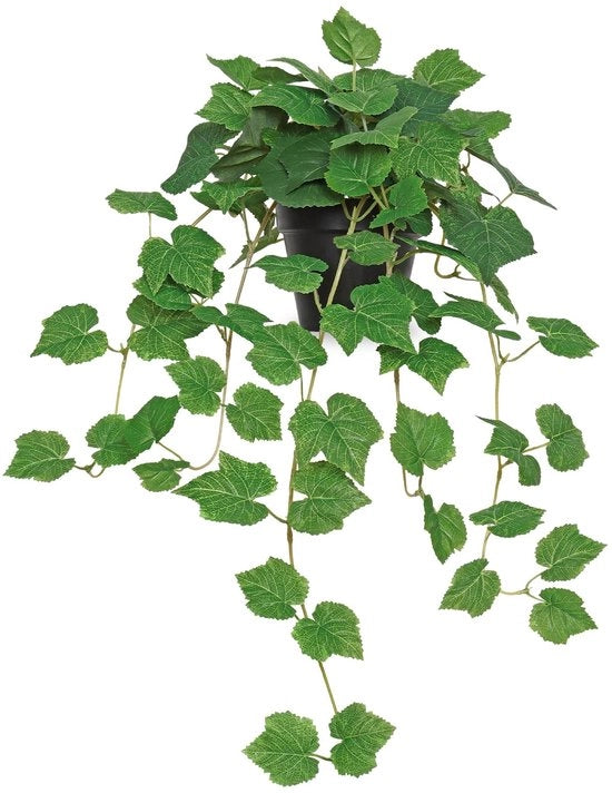 Pianta ornamentale da parete 60 cm - Pianta di Pothos in vaso - Pianta realistica - Pianta decorativa da appendere - Ideale per la casa - Perfetta per ufficio