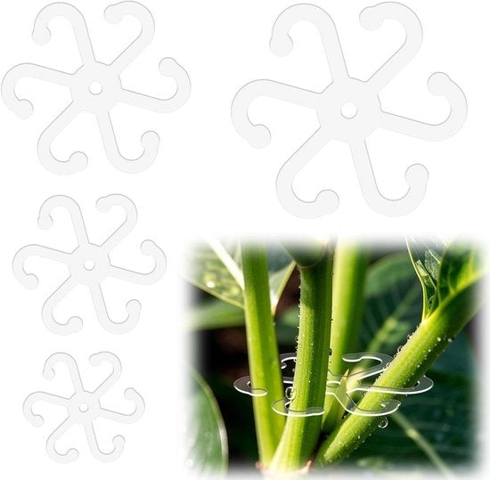 Supporto per steli di piante - Sostegno per piante in acrilico - Braccio di sostegno per piante da appartamento (4 misure trasparenti)