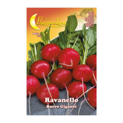 SEMI ORTO RAVANELLO GIGANTE- HORTUS SEMENTI- 10,0 pz