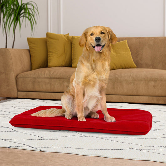 Maxi Cuscino Imbottito e Trapuntato per Cani Gatti in Microfibra Rosso