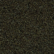 Tropical Spirulina Super Forte Granulat Formato Barattolo- 36% di Spirulina Formato: 1000 ml