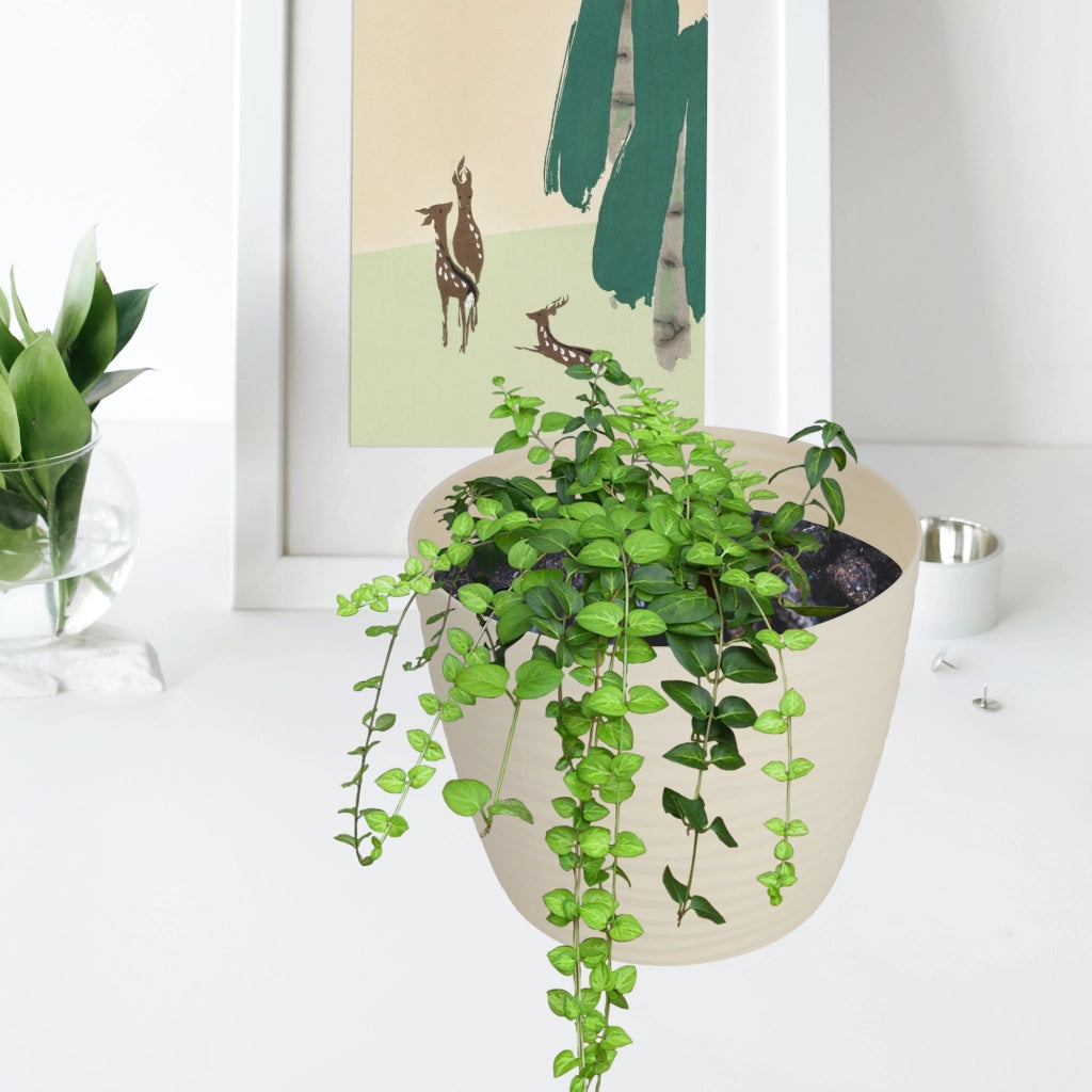 Vaso da fiori KADAX rotondo da 15 cm in plastica color crema