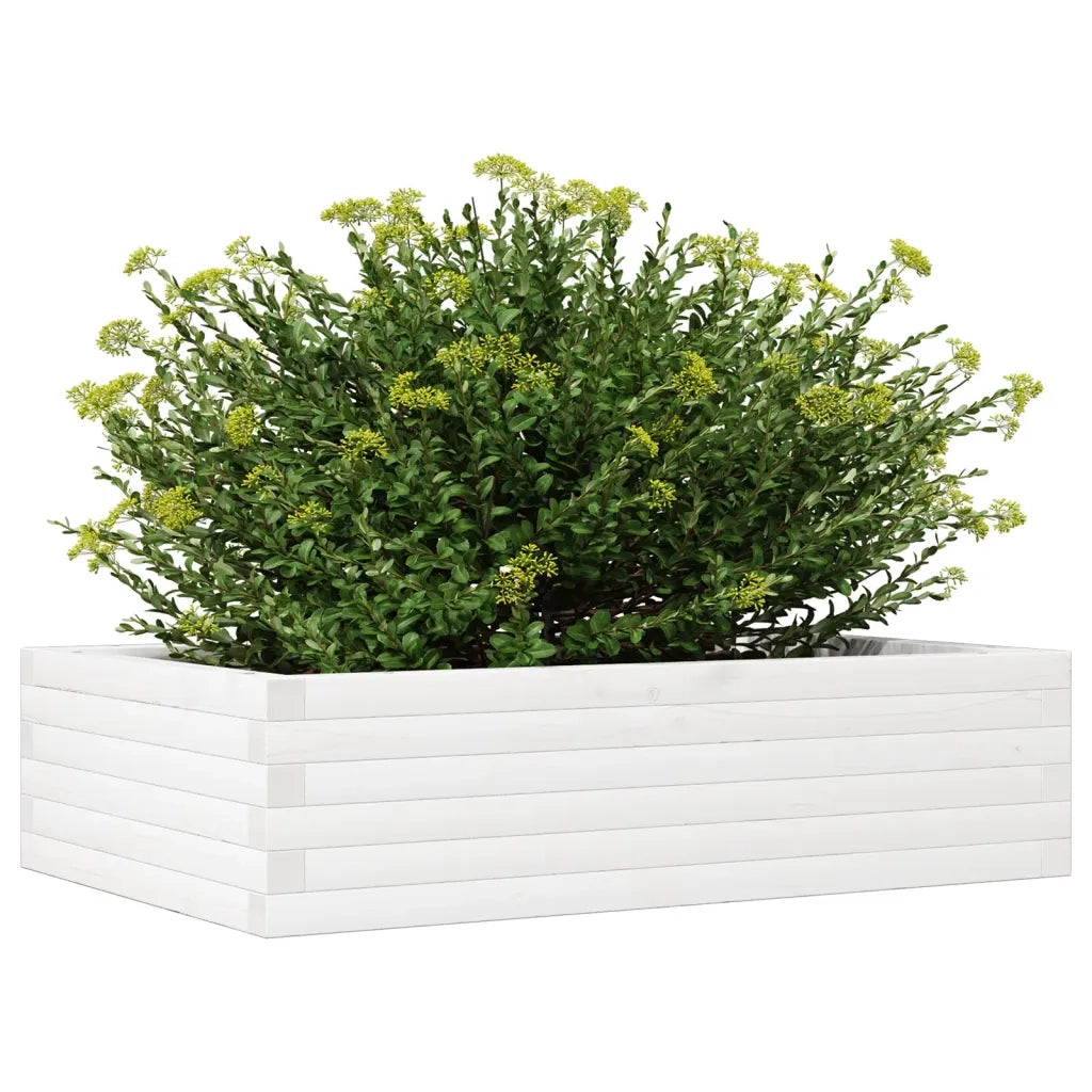 Fioriera da Giardino Bianca 90x60x23 cm Legno Massello di Pino 847234