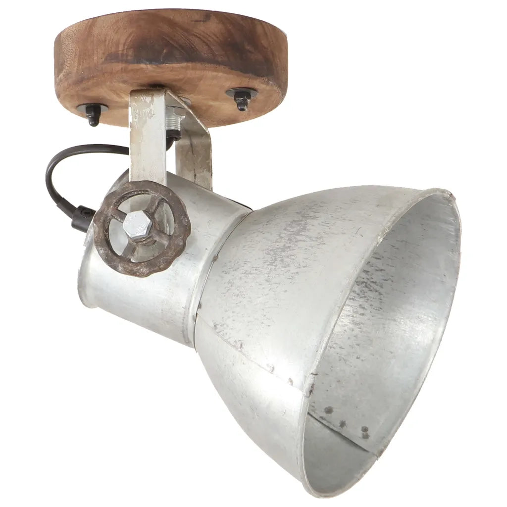 Lampade da Parete/Soffitto 2 pz Industriale Argento 20x25cm E27 CFW2699476