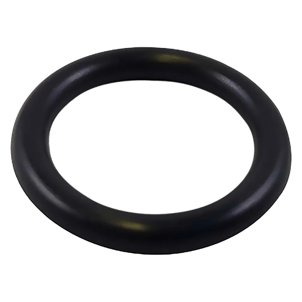 GUARNIZIONE O-RING PER RACCORDERIA mm 16,90 x 2,70- 100 pezzi  - BricoGo