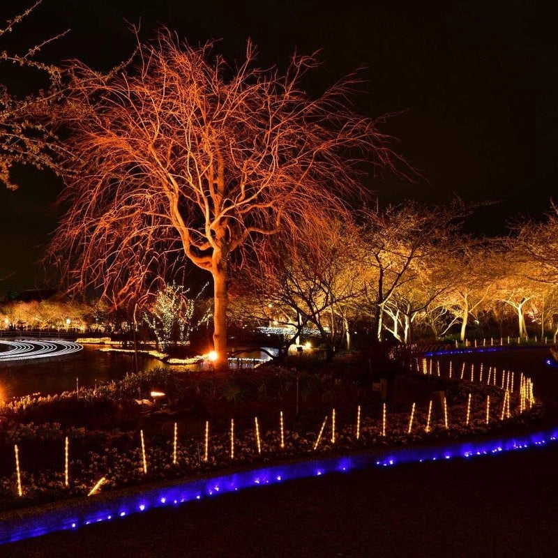 Faro Proiettore Led Flood Light 20W Colore Rosso IP65 Interno Esterno Carcassa Nera SKU-5992