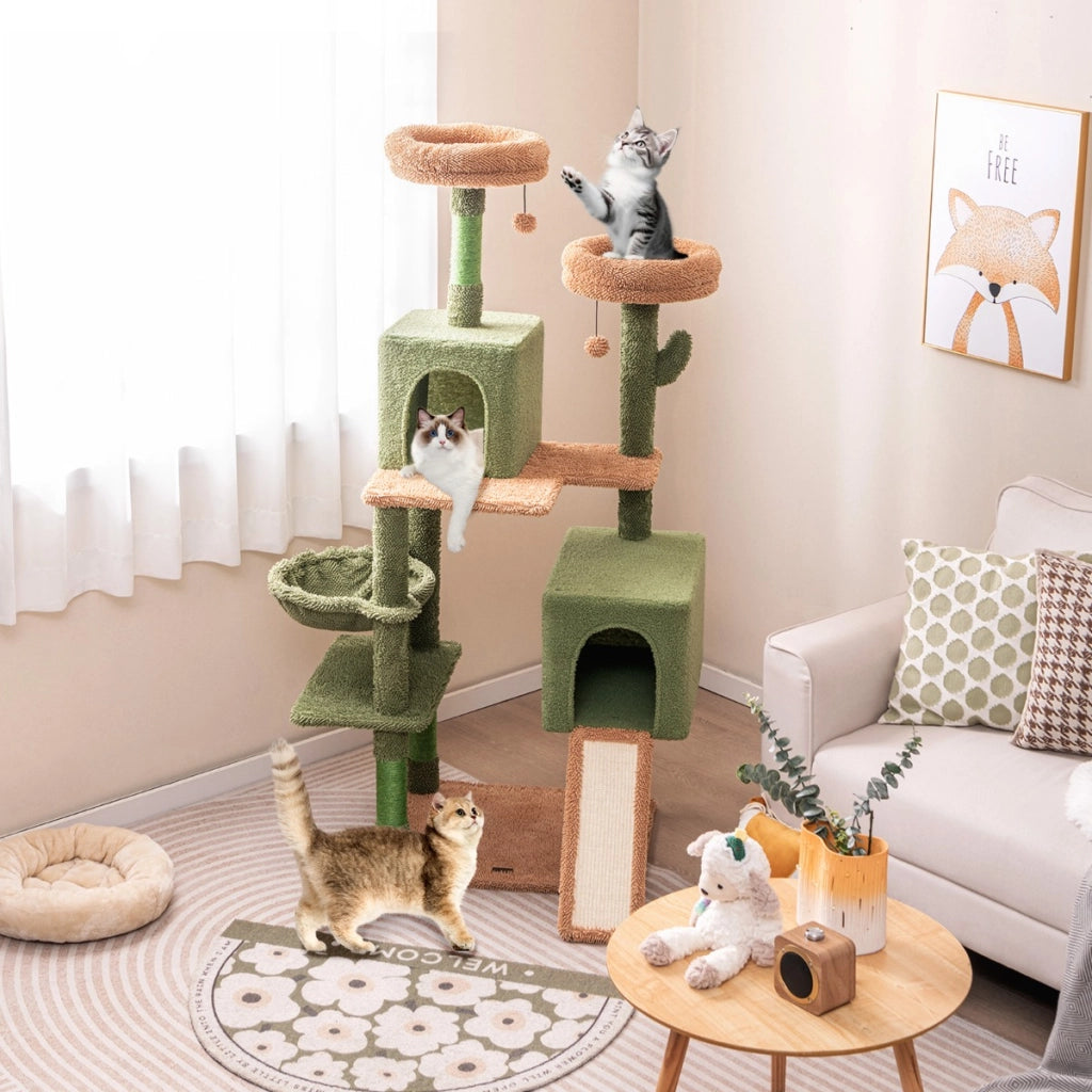 Albero per gatti 160cm a cactus con pali di graffiatura in sisal e scala, Torre per gatti multi-livello Verde-Alberi Tiragraffi