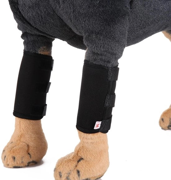 Sostegno posteriore per cani - Supporto chirurgico per lesioni - Resistenze allo shock - Materiale in neoprene resistente e duraturo - Dimensioni S: 6,6 cm x 11,9 cm - Massima stabilità - Supporto per cani