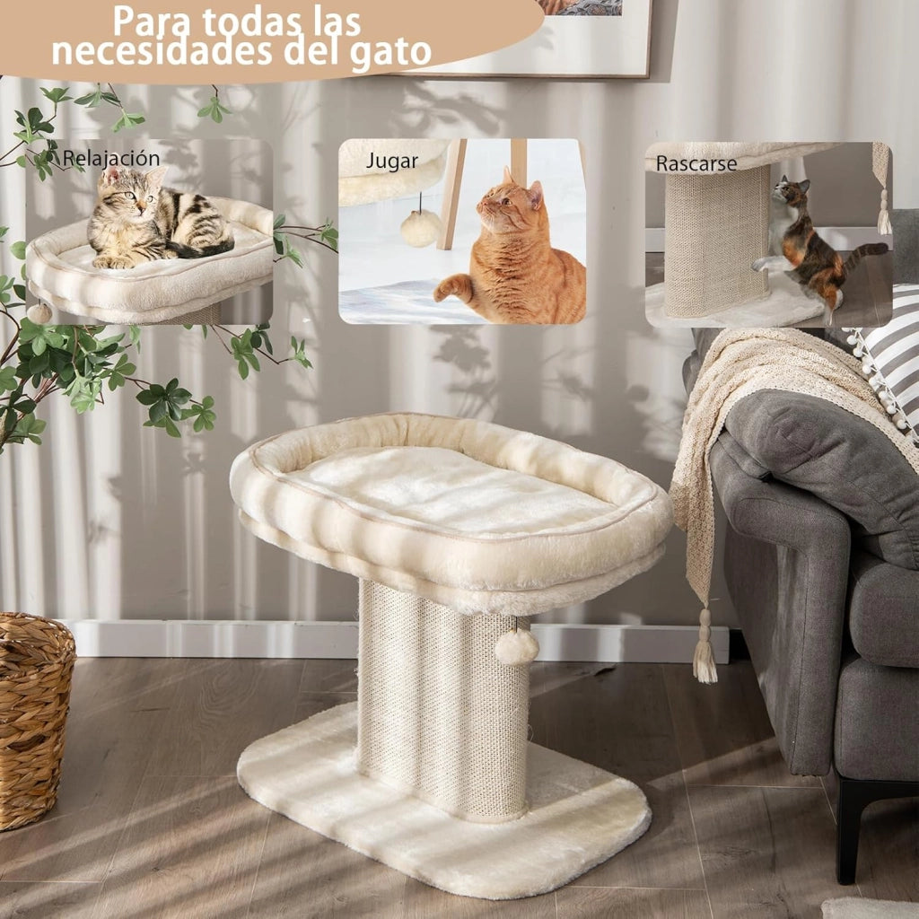 Tiragraffi piccolo, altezza 50 cm, tiragraffi per gatti con seduta in peluche e colonna in sisal e palla, albero da arrampicata in legno stabile, per gatti